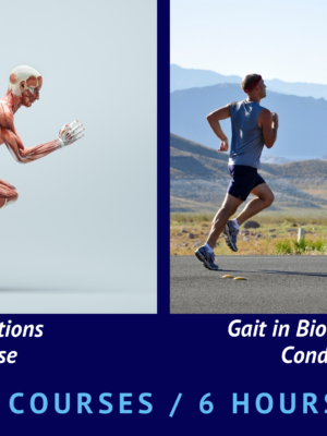 Gait Foundations + Biomechanical Conditions Course