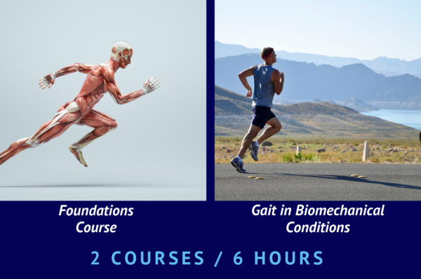 Gait Foundations + Biomechanical Conditions Course