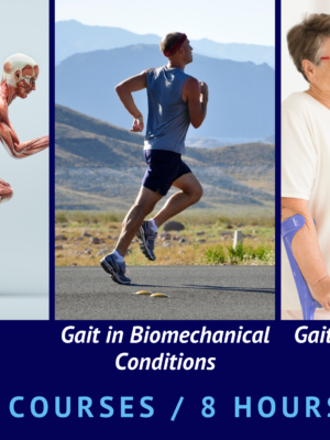 The Gait Movement Online Course Package