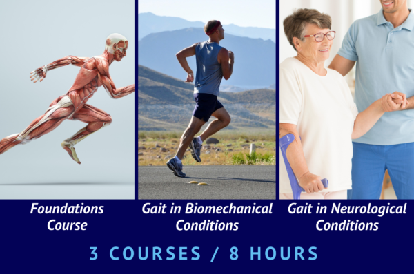 The Gait Movement Online Course Package